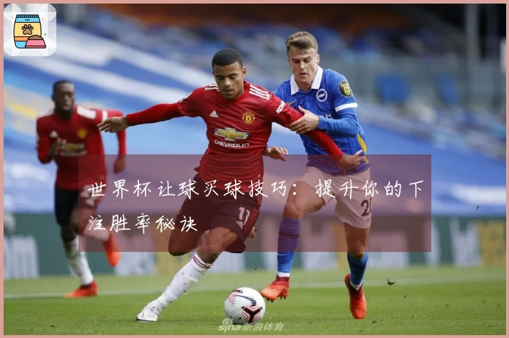 世界杯让球买球技巧：提升你的下注胜率秘诀