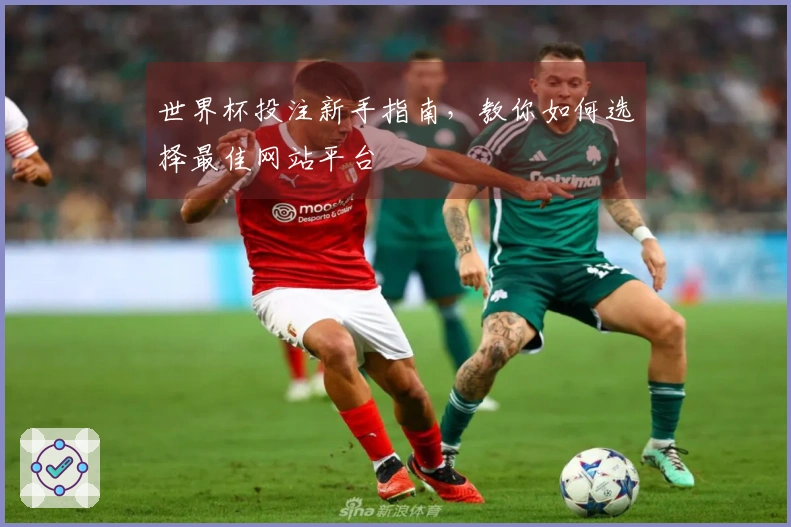 世界杯投注新手指南，教你如何选择最佳网站平台