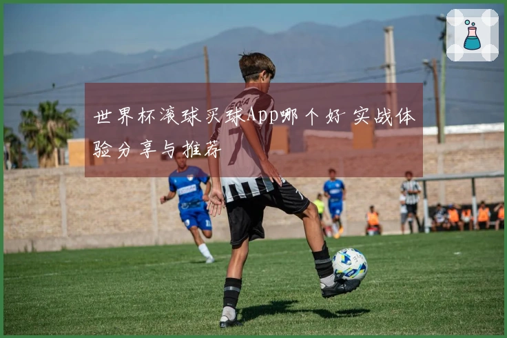 世界杯滚球买球App哪个好 实战体验分享与推荐