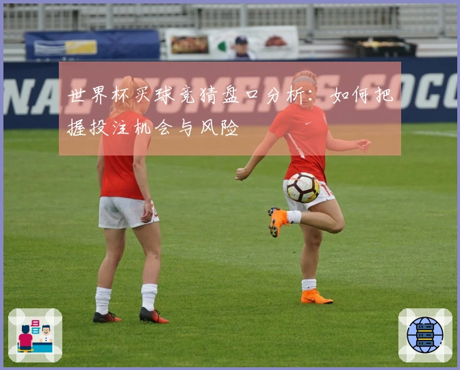 世界杯买球竞猜盘口分析：如何把握投注机会与风险